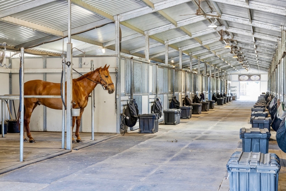 Horse barn interior Horse barn interior