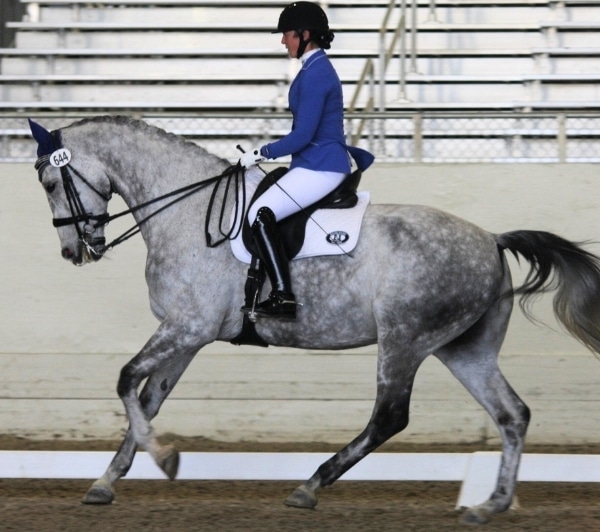 Jordan Rohanna Burner in equestrian competition Jordan Rohanna Burner in equestrian competition